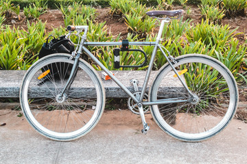 Fototapeta na wymiar Bikes at Villa-Lobos Park in San Paulo (Sao Paulo), Brazil (Bras