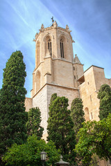 Fototapeta na wymiar Cathédrale Sainte Thècle, Tarragone, Catalogne, Espagne