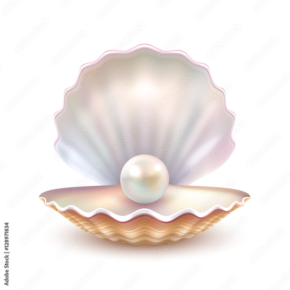 Wall mural Pearl Shell Realistic Close Up Image 