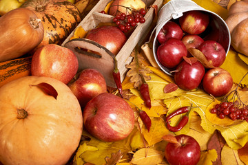 Naklejka na ściany i meble autumn background, fruits and vegetables on yellow fallen leaves