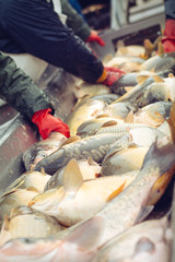Fototapeta na wymiar Catch biomass and manual sorting of fish