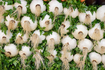 sweet white onions