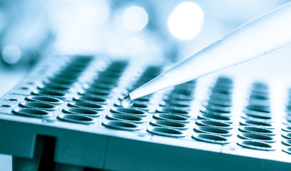 96 well plate for PCR processing, microbiological laboratory. Toned Image