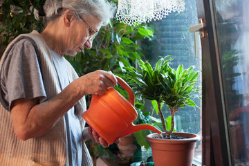 old woman watering flowers