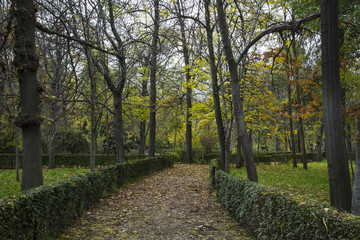 Parque de El Retiro, Madrid, España