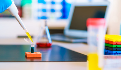 PCR tray in microbiological laboratory