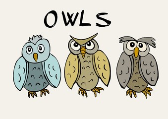 Funny owls