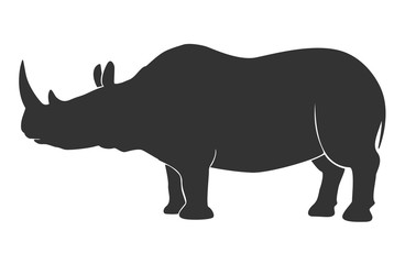 Plakat Vector illustration of rhino on white background. Isolated silhouette of the rare animal.
