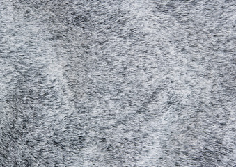 Серый мех текстура