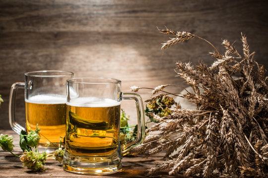 Two mugs of beer next to spikelets on empty background