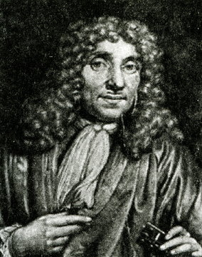 leeuwenhoek