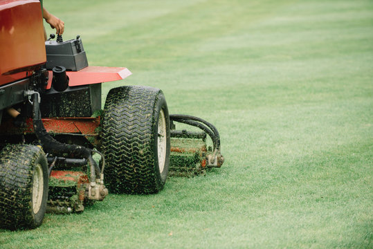 Fairway mower. Golf course maintenance equipment, fairway mower