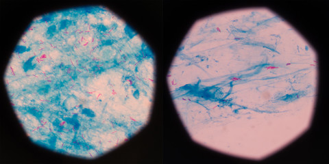 Medical science background in education concept.