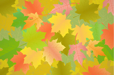 Vector illustration autumn background with maple leaves.