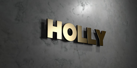 Holly - Gold sign mounted on glossy marble wall  - 3D rendered royalty free stock illustration. This image can be used for an online website banner ad or a print postcard.