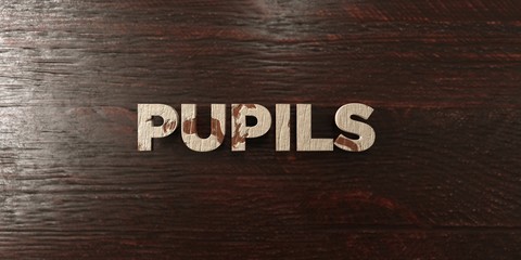 Pupils - grungy wooden headline on Maple  - 3D rendered royalty free stock image. This image can be used for an online website banner ad or a print postcard.