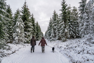 Winterwanderung mit Hunden im Erzgebirge