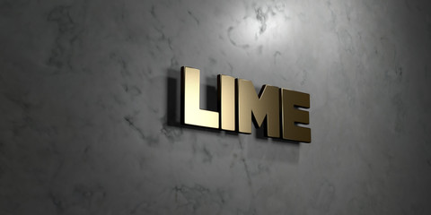 Lime - Gold sign mounted on glossy marble wall  - 3D rendered royalty free stock illustration. This image can be used for an online website banner ad or a print postcard.
