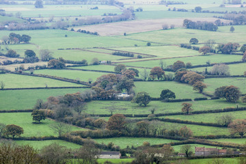 Somerset Levels landscape.