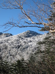 雪化粧した山々
