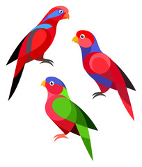 Stylized Parrot - Lorikeet