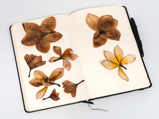 Herbarium