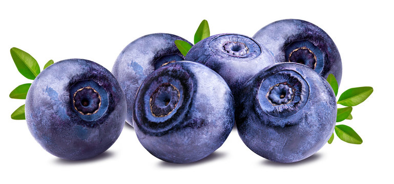 Bilberry Blueberries Isolated On White