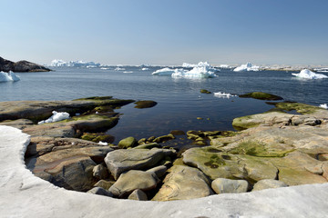 Fototapeta na wymiar Scenic view of the Icebergs on arctic ocean, Greenland