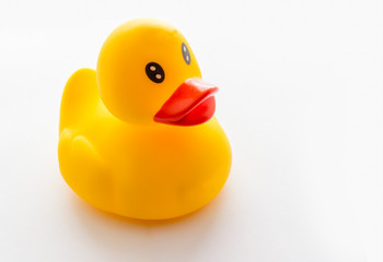 Yellow rubber ducklings on a white background