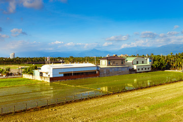 Obraz premium The farm