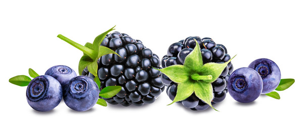 blackberry,  bilberry, blueberries  isolated on white