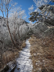 雪化粧した登山道