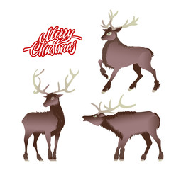 Vector illustration set with reindeer silhouettes and text isolated.