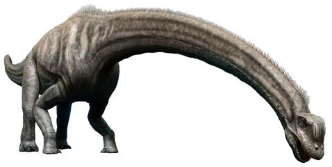 Sauroposeidon from the Cretaceous era 3D illustration © warpaintcobra