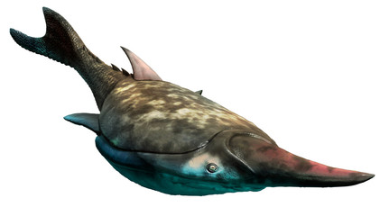 Pteraspis from the Devonian era 3D illustration