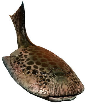 Drepanaspis from the Devonian era 3D illustration