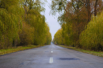 Road in the countryside