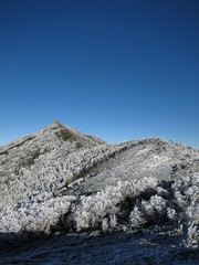 雪化粧した山々