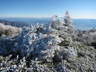 樹氷と青空