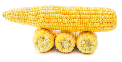Corns on the cob isolated