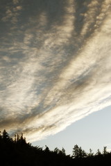 Obraz na płótnie Canvas Low Angle View Of clouds Sky,mt fuji
