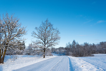 Fototapeta na wymiar Rural road in winter time.