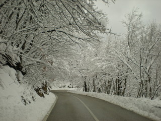 Strada innevatae alberi ricoperti di neve  al sud Italia 
