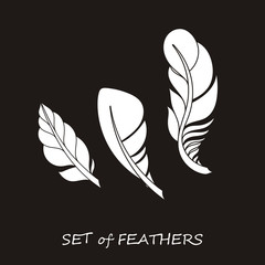 Vector Ornate Set of Stylized and Silhouette Abstract Feathers.
