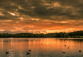 Fototapeta premium sunset