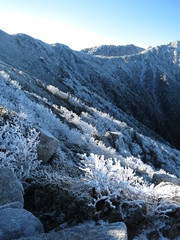 雪化粧した山斜面