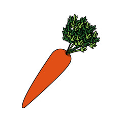 Carrot icon. Healthy organic fresh and natural food theme. Isolated design. Vector illustration