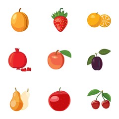 Fresh fruit icons set. Cartoon illustration of 9 fresh fruit vector icons for web