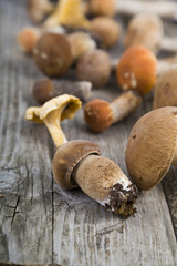 Raw mushrooms on a wooden table. Boletus edulis and chanterelles