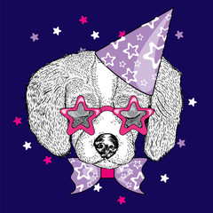Cute puppy in a celebratory cap and funny glasses. Vector illustration. Postcard or poster, print on clothes. A party.